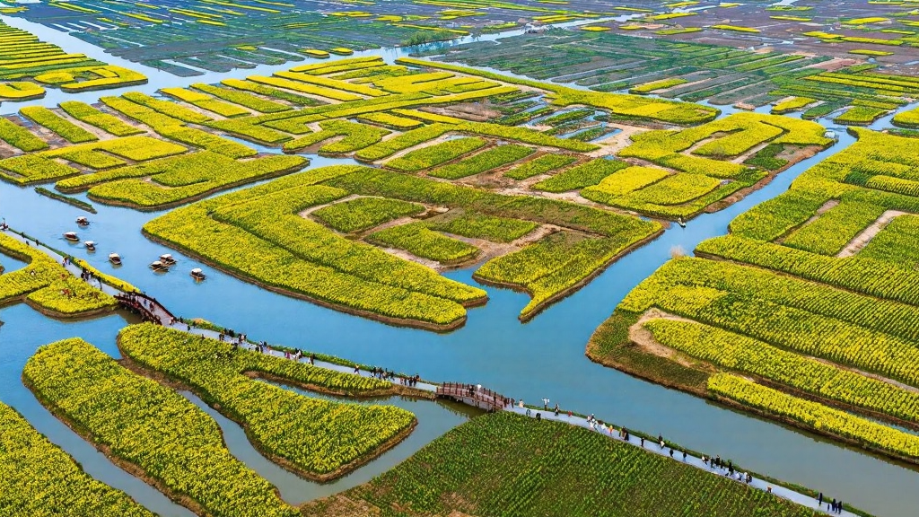 泰州旅游