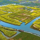 泰州旅游 缩略图 1