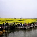扬州旅游 缩略图 4