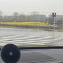 扬州旅游 缩略图 5