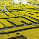 扬州旅游 缩略图 7