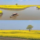 泰州旅游 缩略图 2