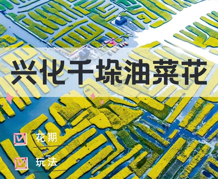 泰州旅游 1