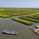 扬州旅游 缩略图 2