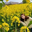 徐州旅游 缩略图 3