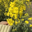 徐州旅游 缩略图 2