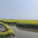 扬州旅游 缩略图 1