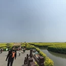 扬州旅游 缩略图 3