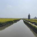 扬州旅游 缩略图 2