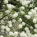 昆明旅游 缩略图 4