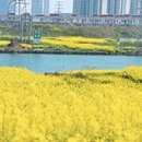 徐州旅游 缩略图 4