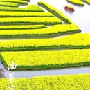 昆明旅游 缩略图 5