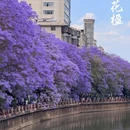 昆明旅游 缩略图 6