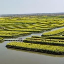 扬州旅游 缩略图 3