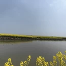 扬州旅游 缩略图 4