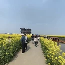 扬州旅游 缩略图 9