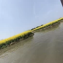 扬州旅游 缩略图 8