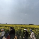 扬州旅游 缩略图 6