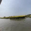 扬州旅游 缩略图 7