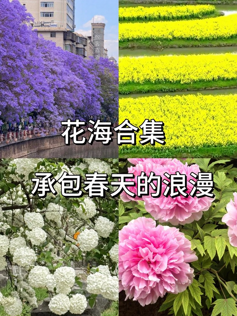 昆明旅游