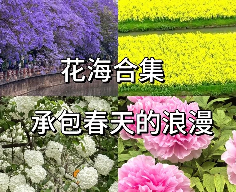 昆明旅游 1