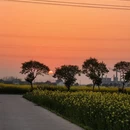 泰州旅游 缩略图 7