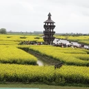 泰州旅游 缩略图 1