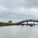 泰州旅游 缩略图 11