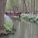泰州旅游 缩略图 8