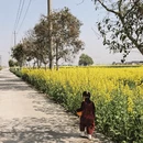 泰州旅游 缩略图 1