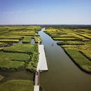 泰州旅游 缩略图 5