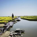 泰州旅游 缩略图 7