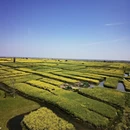 泰州旅游 缩略图 3