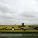 泰州旅游 缩略图 10