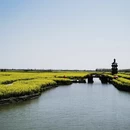 泰州旅游 缩略图 4