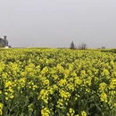 徐州旅游 缩略图 2