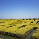 泰州旅游 缩略图 10