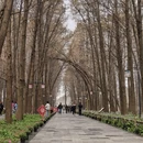 徐州旅游 缩略图 4