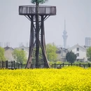 苏州旅游 缩略图 1