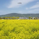 苏州旅游 缩略图 4