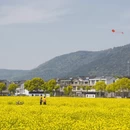 苏州旅游 缩略图 2