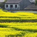 苏州旅游 缩略图 7