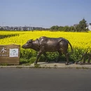 苏州旅游 缩略图 11