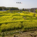 苏州旅游 缩略图 10