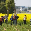 苏州旅游 缩略图 13