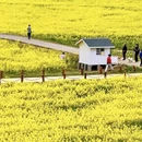 西安旅游 缩略图 1