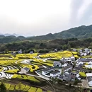 西安旅游 缩略图 3
