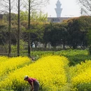 苏州旅游 缩略图 17
