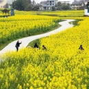 西安旅游 缩略图 5