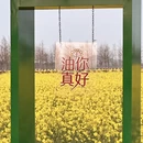 上海旅游 缩略图 6